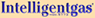 INTELLIGENTGAS